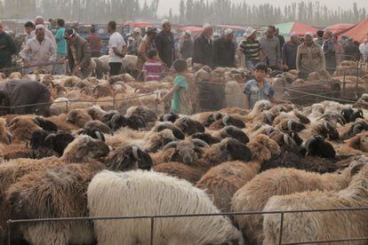 Al otro lado de la frontera kirguisa espera la cosmopolita Kasgar. Cosmopolita pero en un sentido primitivo: aquel oasis en medio del desierto del Taklamakan cuenta con una situación geográfica privilegiada que la ha convertido en un crisol de razas y culturas que todavía hoy prevalecen. Uigures, uzbekos, tajikos, kazajos, kirguisos, afganos, tártaros, turkmenos y chinos se codean en el famoso mercado de animales del domingo, la mejor representación de que Kasgar sigue siendo parte del corazón de esta Ruta de la Seda poblada de nómadas y comerciantes.