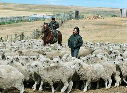 El escritor chileno Luis Sepúlveda, retratado en la Patagonia.