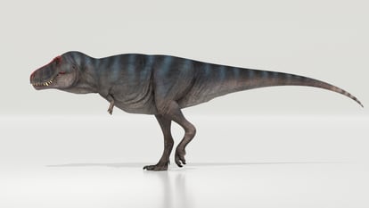 Reconstrucción del 'Tiranosaurio Rex'