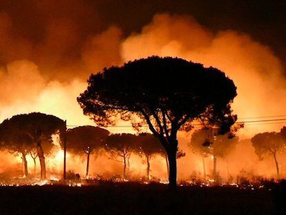 Más de 2.000 personas han tenido que ser desalojadas en la madrugada de este domingo por el incendio declarado en una zona de pinares y cultivos de Moguer (Huelva), en el llamado espacio natural que rodea el Parque Nacional. En la imagen, el incendio declarado anoche en el paraje La Peñuela de Moguer (Huelva), anoche.