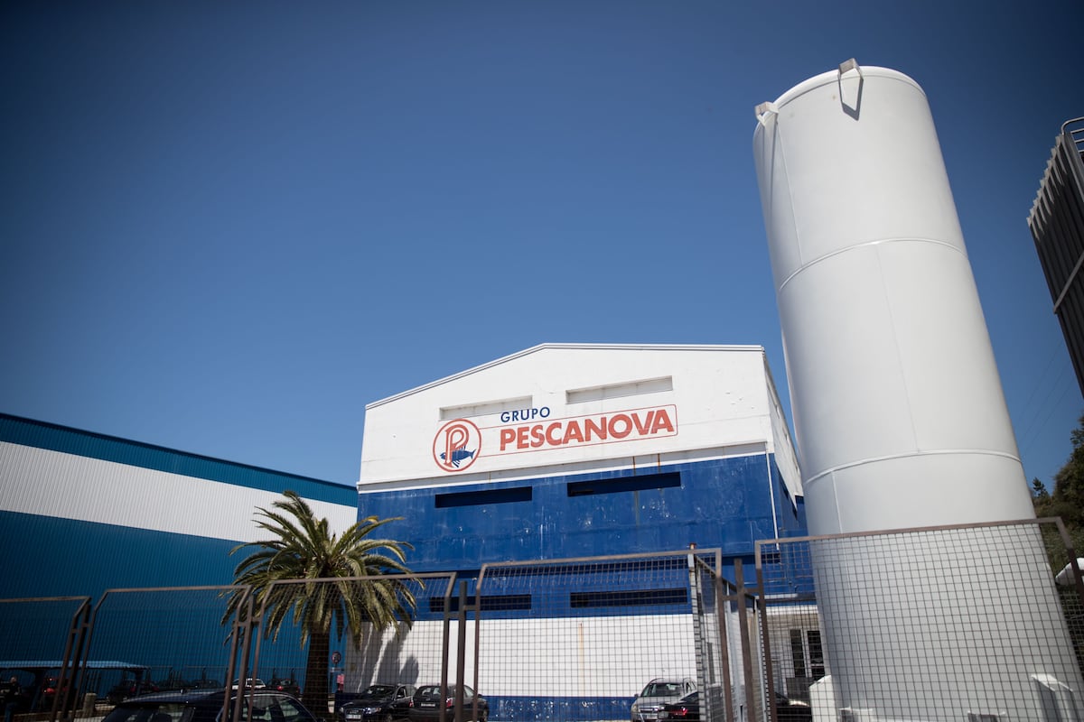 Nueva Pescanova anuncia un centenar de despidos en plena negociación de venta | Economía