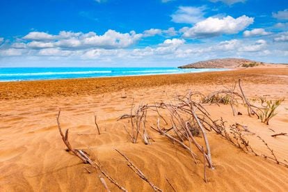 Las dunas f&oacute;siles del parque regional de Calblanque, en la costa de Cartagena (Murcia), enmarcan una de las &uacute;ltimas playas v&iacute;rgenes de Levante. 