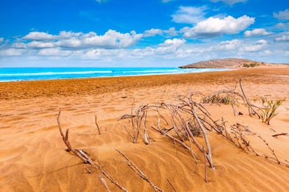 Las dunas fósiles del parque regional de Calblanque, en la costa de Cartagena (Murcia), enmarcan una de las últimas playas vírgenes de Levante.