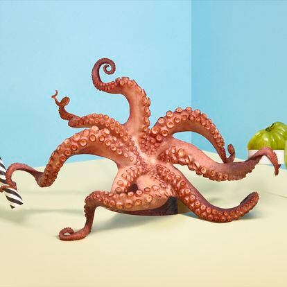An octopus holding in balance food and geometries