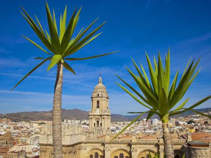 Vistas de la catedral y la ciudad de Málaga.