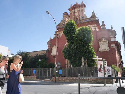 El ficus de San Jacinto, en el barrio sevillano de Triana, un año después de que se ordenara su tala.