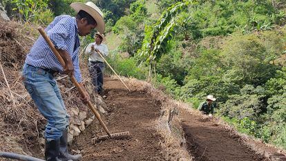 Tres trabajadores agrícolas apoyados por un programa de ACH cultivan hortalizas alternativas al maíz y al frijol en la Aldea El Sauce de Chiquimula, en Guatemala.