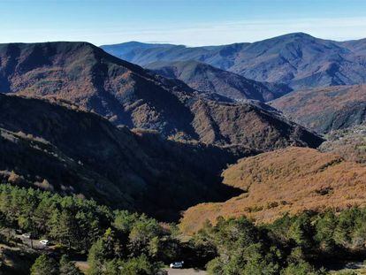 Panorámica del bosque de la Devesa da Rogueira.