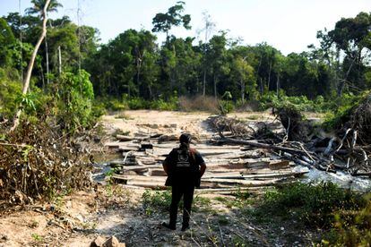 Pahnin Mekragnotire de la tribu Kayapó frente a un sitio talado ilegalmente dentro de su territorio, en Pará (Brasil), en 2021.