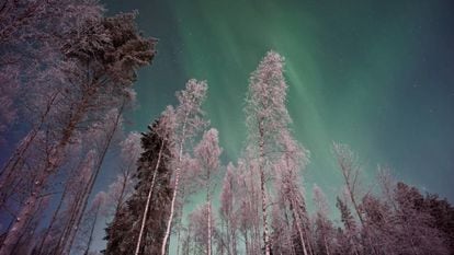 Imagen de Laponia, en Finlandia.  