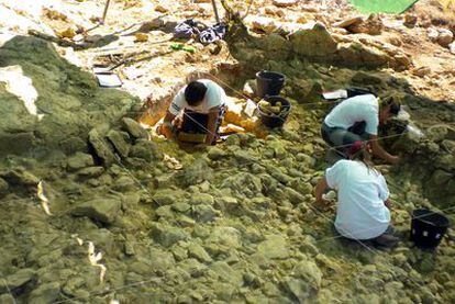 Los restos de una niña con 40.000 años de antigüedad han sido hallados en un calvero de la localidad serrana de Pinilla del Valle, a 90 kilómetros al norte de Madrid.