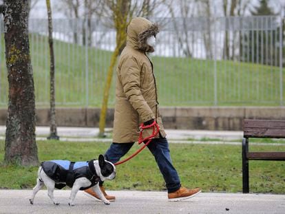 Una persona pasea a su mascota por Vitoria.