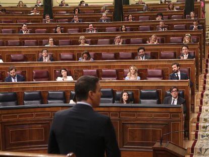 El presidente del Gobierno, Pedro Sánchez, (de espaldas) durante su intervención en el Pleno del Congreso de los Diputados para responder a las preguntas de la sesión de control al Gobierno.