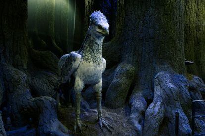 El hipogrifo en el Bosque Secreto de Harry Potter, un espacio abierto este año en los estudios de Warner Bros. de Londres. 