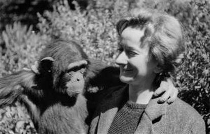 Wislawa Szymborska con un chimpacé en el zoológico.