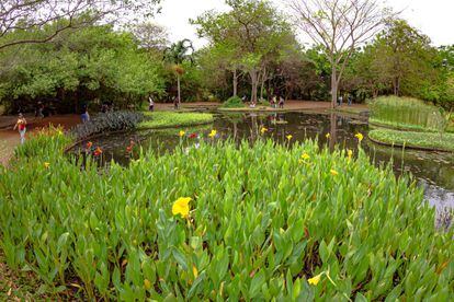   Maracaibo Botanical Garden in Venezuela.  © JOSE