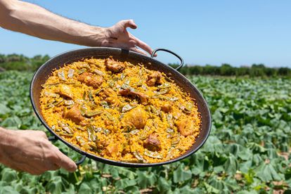 Ingredientes paella Valencia