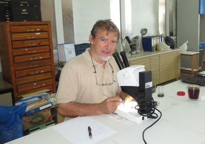 El experto en escarabajos peloteros Jean-Pierre Lumaret.