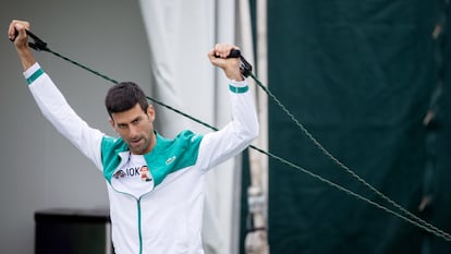 Tennis - Wimbledon - All England Lawn Tennis and Croquet Club, London, Britain - July 10, 2021 Serbia's Novak Djokovic during a practice session Pool via REUTERS/David Gray