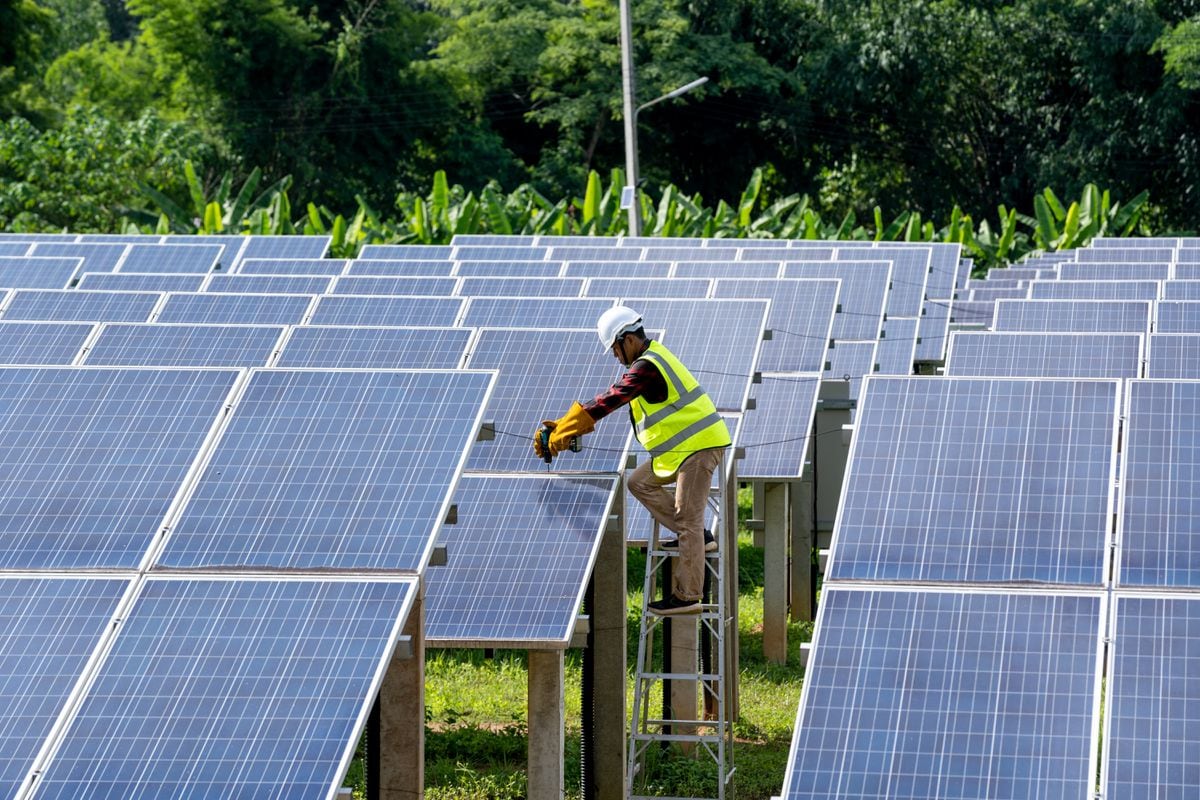 Börse: Solaria steigt bei heißem Wetter um 7 % nach Übernahmeangebot im deutschen Solarsektor |  Finanzmärkte