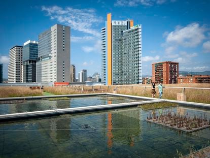 Nueva terraza verde sobre el Museo de Ciencias Naturales de Barcelona, 7.100 metros cuadrados de agua y plantas.