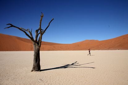 Esqueletos de acacias en Deadvlei, junto a la duna conocida como Big Daddy, la más alta del desierto.