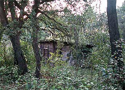Paraje del bosque donde fue encontrado el niño maltratado.