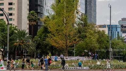 Familiares de personas desaparecidas caminan entre fotografías, hoy, en la glorieta de Paseo de la Reforma, donde fue plantado un ahuehuete en reemplazo de la palma que fue retirada en abril.