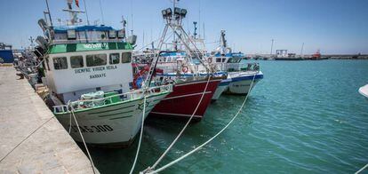 Pesqueros amarrados en el puerto de Barbate (Cádiz) tras expirar el protocolo de pesca entre Marruecos y la Unión Europea en 2014