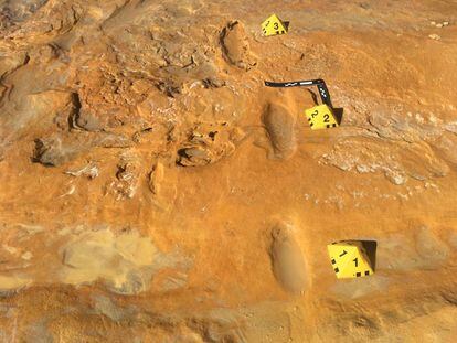 Three-step trace of an adult Neanderthal found in Matalascañas (Huelva) on the same surface as a set of straight-tusked elephant footprints, some neonates.