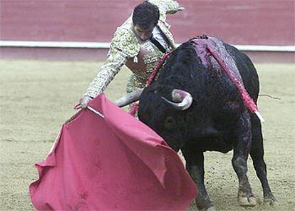 Juan Mora da un pase al tercero de la tarde ayer en Valencia.