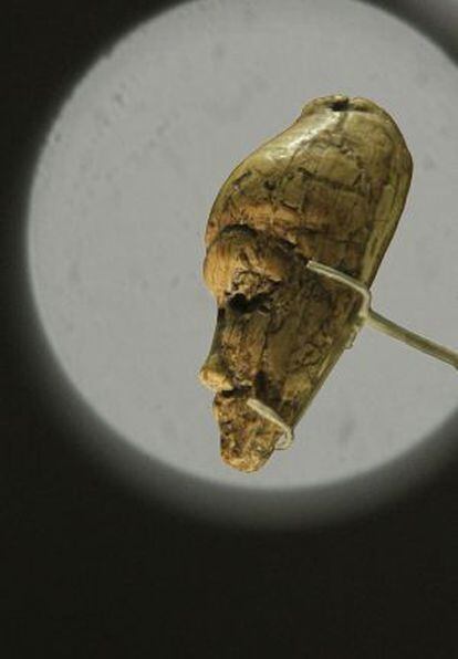 Figura de mujer en marfil de mamut (27.000 años de antigüedad).