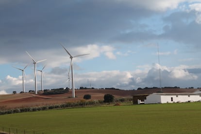 Turbinas eólicas.