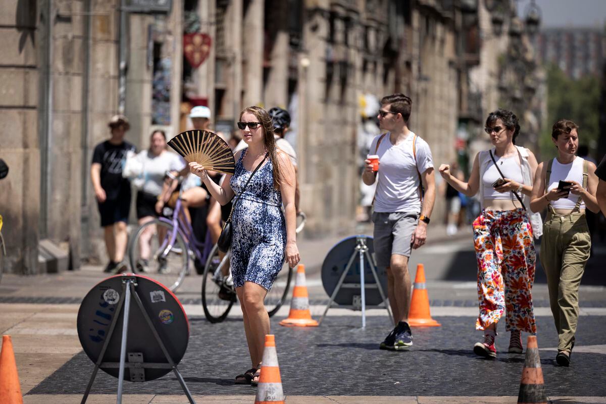 Las ciudades se derriten con las olas de calor, ¿qué puede hacer el urbanismo para evitarlo? | Negocios