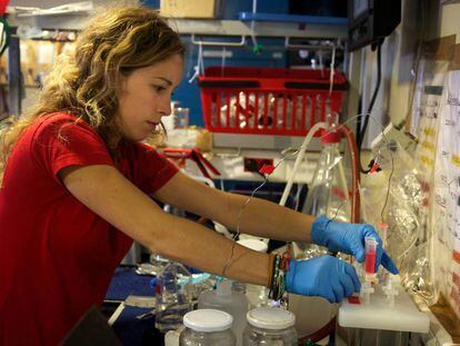 Un investigadora del CSIC trabaja con muestras durante la expedición oceanográfica Malaspina.