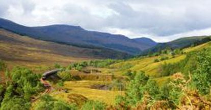 El tren Belmond Royal Scotsman recorre los mejores campos de golf de Escocia