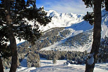 Bosques de Grand Tourmalet.