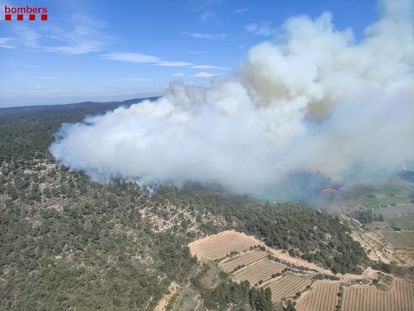 Fuego en la Sierra de Senan, en la comarca de Conca de Barberà en Tarragona. BOMBERS