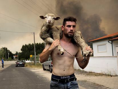 Un hombre lleva una oveja en sus espaldas tras rescatarla del fuego en el incendio de Boa Vista (Portugal), este martes.