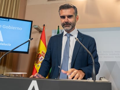 El consejero de Sostenibilidad, Medio Ambiente y Economía Azul, Ramón Fernández Pacheco, durante la conferencia de prensa posterior al Consejo de Gobierno andaluz, este martes en Sevilla.