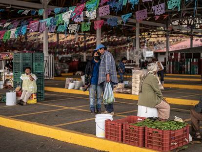 Centro de acopio de nopal en la Alcaldía Milpa Alta de la Ciudad de México, el 23 de abril.