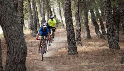 Ciclistas de montaña en el Parque Nacional de la Sierra del Guadarrama, en 2015.