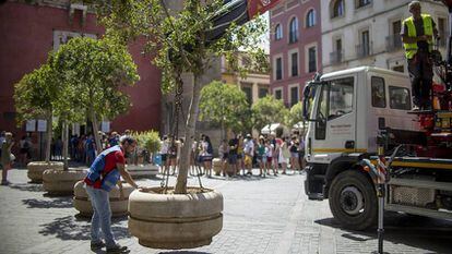 Operarios del Ayuntamiento de Sevilla colocan grandes maceteros en las zonas turísticas de la ciudad.