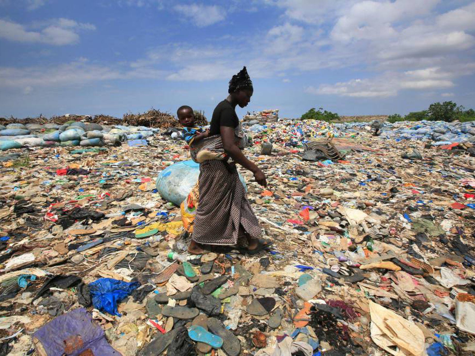 En qué cubo de basura se tira un plato desechable? >> Ecolaboratorio >>  Blogs EL PAÍS