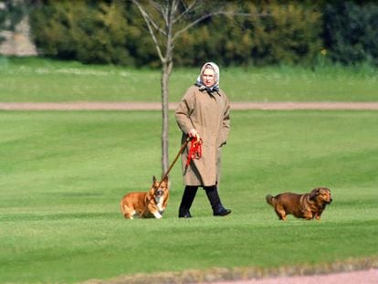 La reina Isabel II paseando a dos de sus perros (un corgi, a la izquierda, y un dorgi, a la derecha) en el castillo de Windsor, en 1994