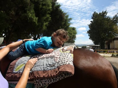 A lomos de Posha, Dominique termina por quedarse dormido mientras la yegua le ayuda a reforzar la columna, las vértebras y el cuello.