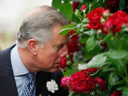 Carlos III en la presentación de las flores de Highrove, en el Chelsea Flower Show, celebrado el 18 de mayo de 2009 en Londres.