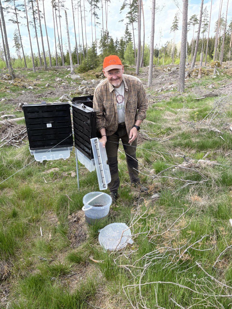 El investigador Bill Hansson de trabajo de campo en el bosque con escarabajos de la madera, cortesía del Instituto Max Planck.