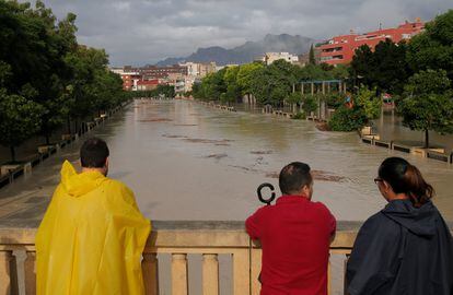 Desbordamiento del río Segura a su paso por la localidad alicantina de Orihuela, este viernes.