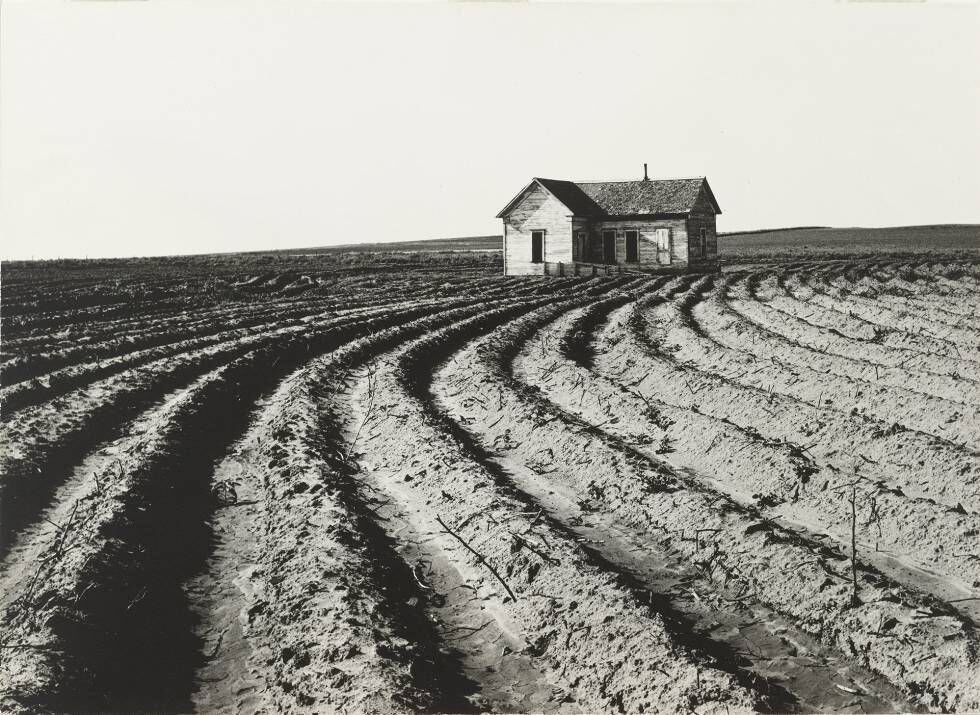 Foto de Dorothea Lange tomada en Texas en 1938.